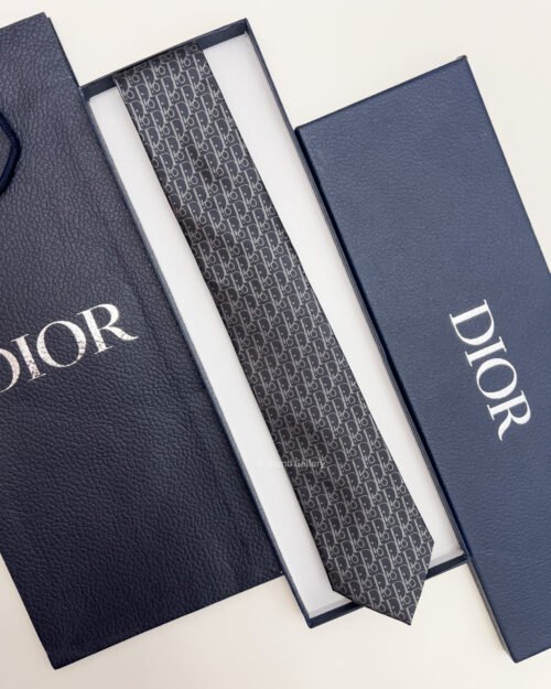 Dior Grey D PATTERN SILK TIE