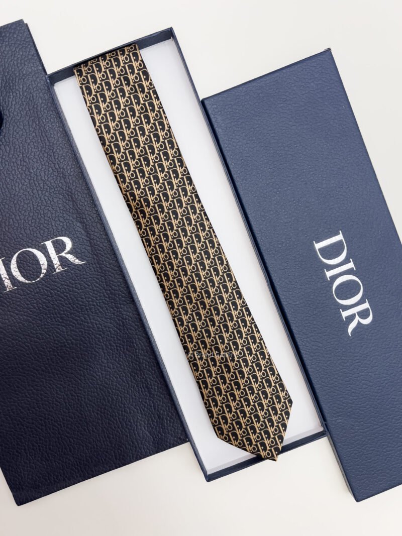 Dior Gold D PATTERN SILK TIE