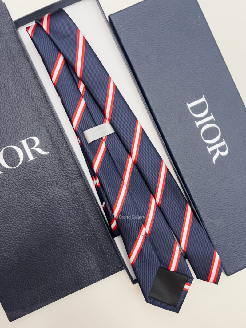 Dior STRIPED CD ICON SILK TIE