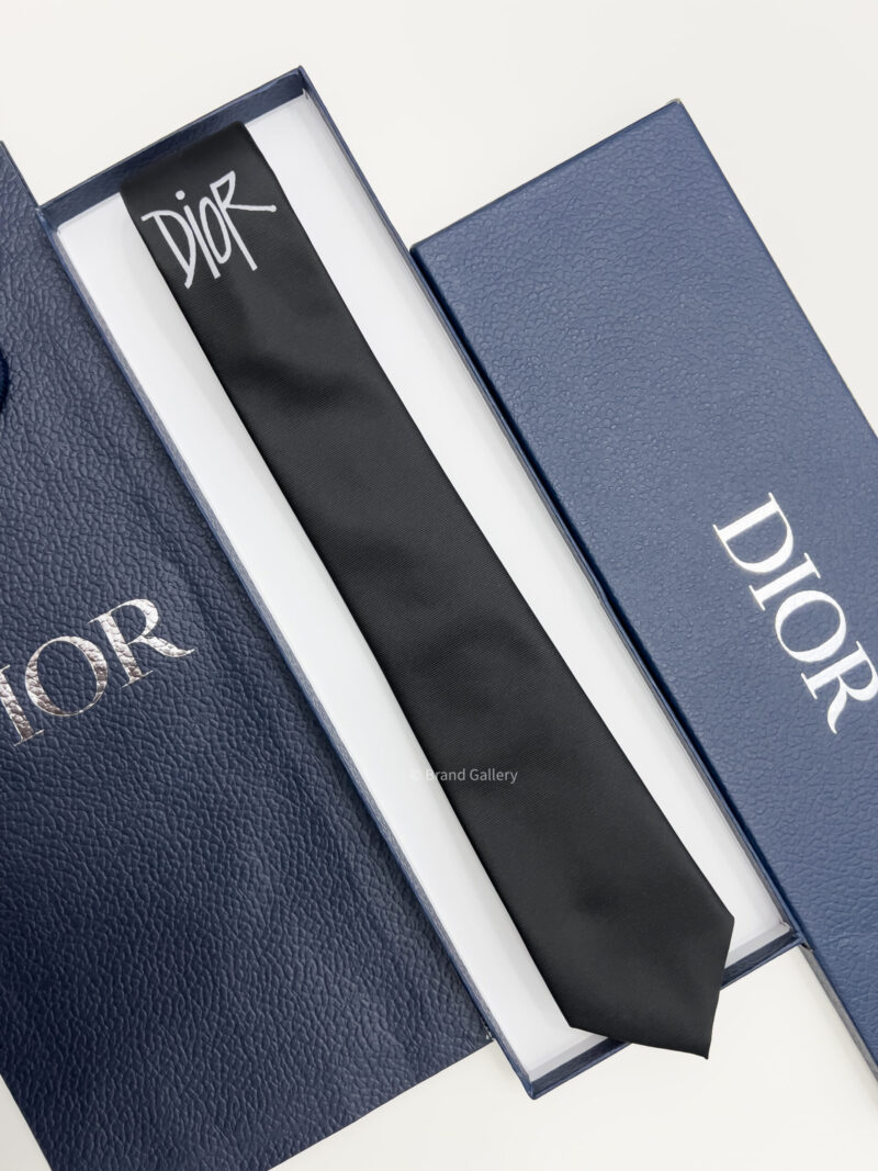 Dior ICON SILK TIE