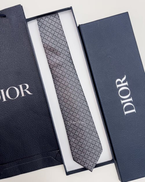 Dior Grey CANNAGE SILK TIE