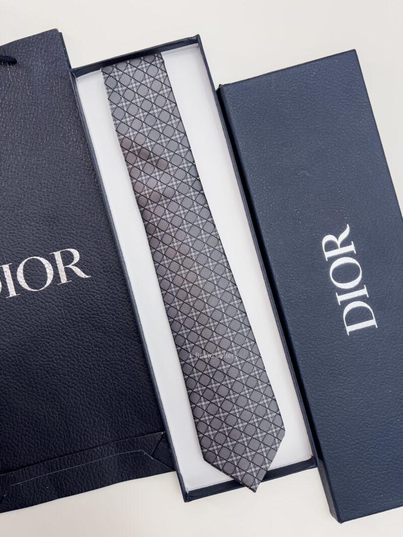 Dior Grey CANNAGE SILK TIE