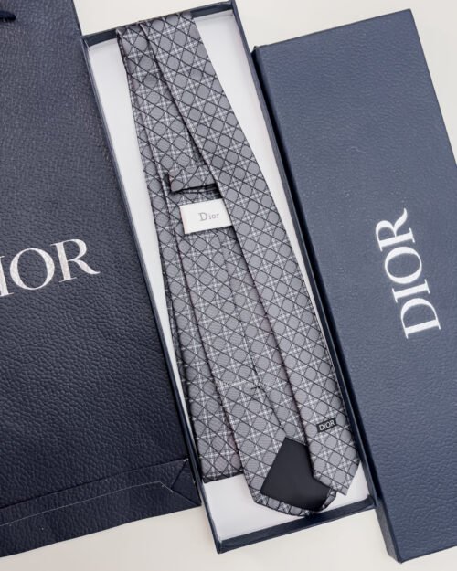 Dior Grey CANNAGE SILK TIE