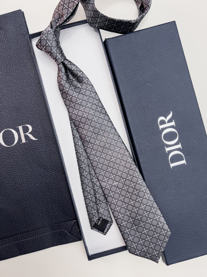 Dior Grey CANNAGE SILK TIE