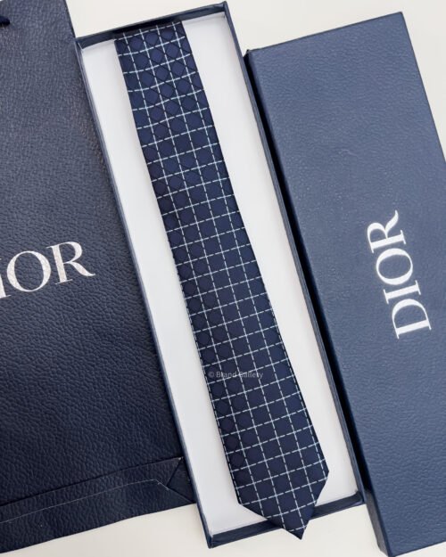 Dior Navy CANNAGE SILK TIE