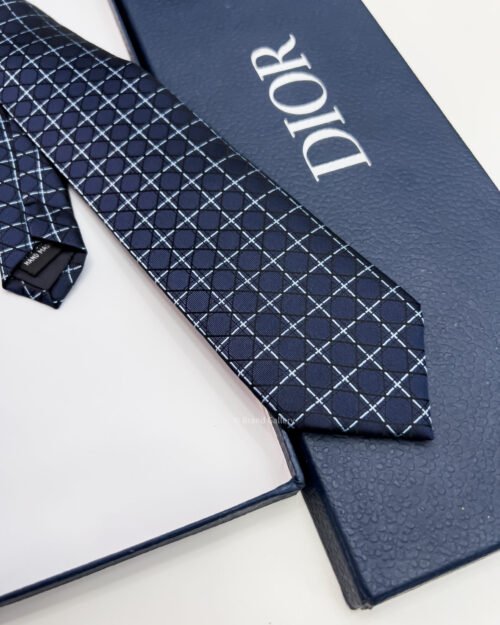 Dior Navy CANNAGE SILK TIE