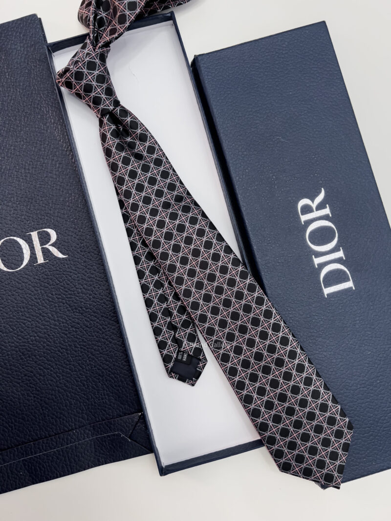 Dior Black and Pink CANNAGE SILK TIE