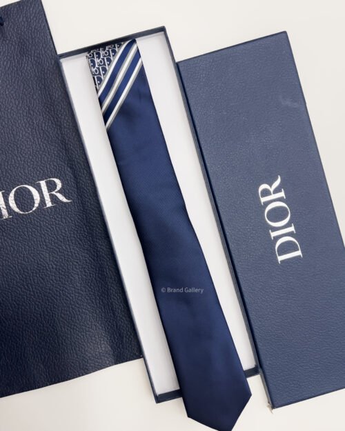 Dior Blue STRIPED OBLIQUE SILK TIE