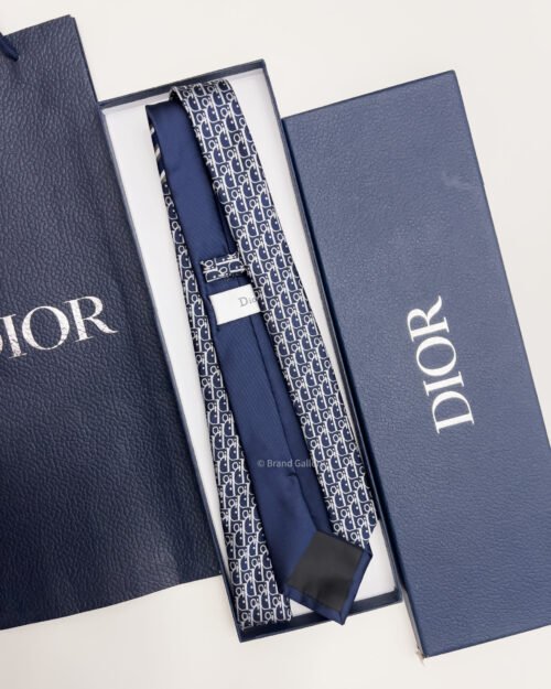 Dior Blue STRIPED OBLIQUE SILK TIE