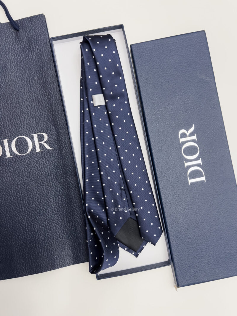 Dior Blue DOTS CD ICON SILK TIE