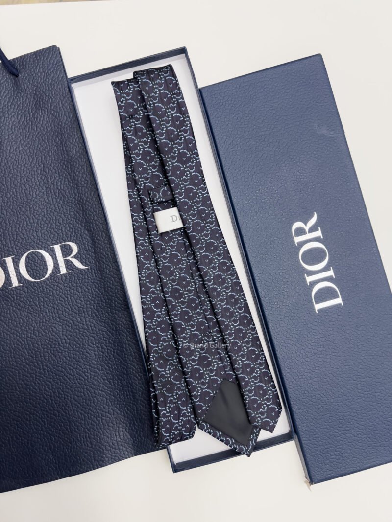 Dior OBLIQUE PIXEL SILK TIE