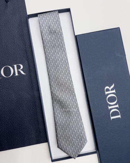 Dior Grey OBLIQUE SILK TIE