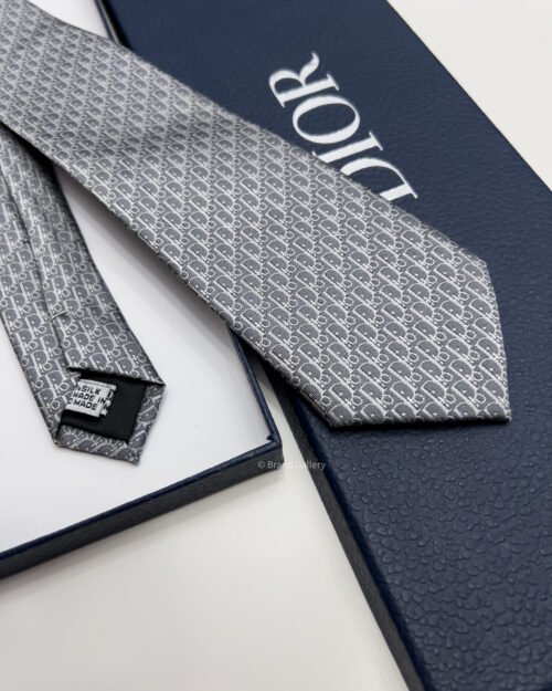 Dior Grey OBLIQUE SILK TIE
