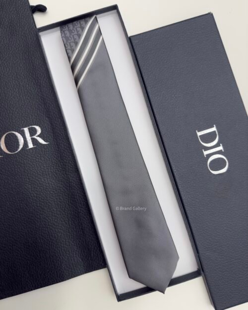 Dior Grey STRIPED OBLIQUE SILK TIE
