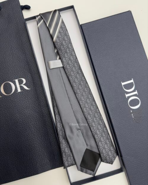 Dior Grey STRIPED OBLIQUE SILK TIE