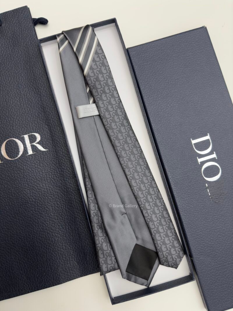 Dior Grey STRIPED OBLIQUE SILK TIE