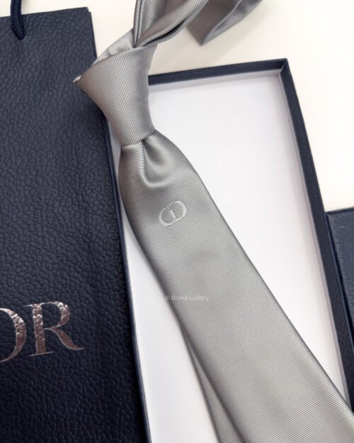 Dior Silver Grey Middle CD ICON SILK TIE